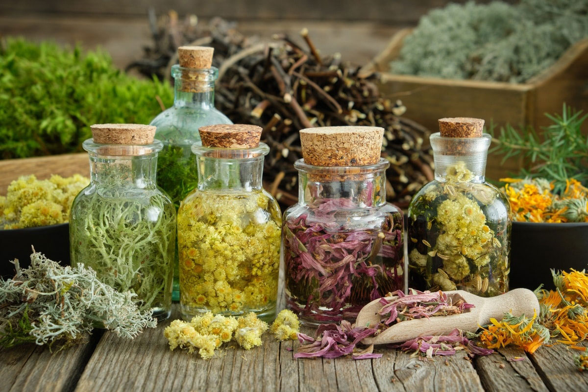 چه کسانی نباید داروی گیاهی مصرف کنند؟
