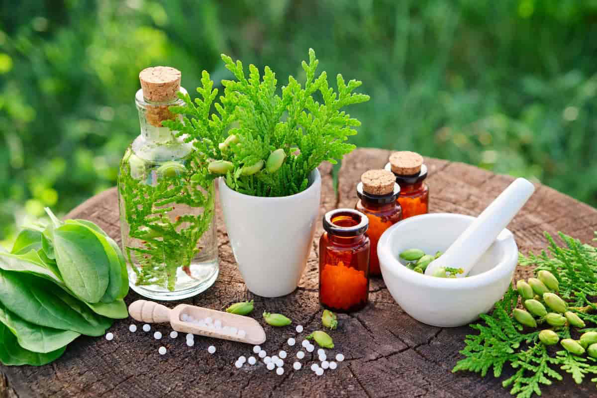 تصورات اشتباه درمورد گیاهان دارویی