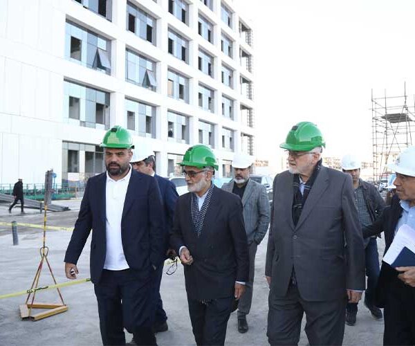 بازدید مدیرعامل بانک پاسارگاد از شهرک نسیم سلامت خاتم