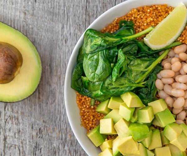 آووکادو و رژیم های غذایی مختلف