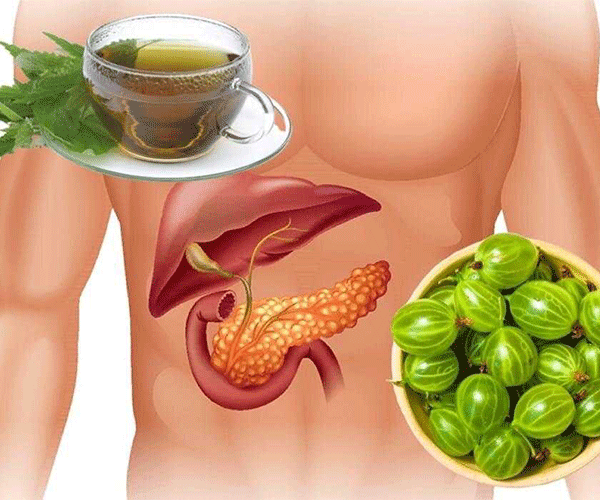 غذاهای تلخ و کبد؛ یک رابطه دوستانه