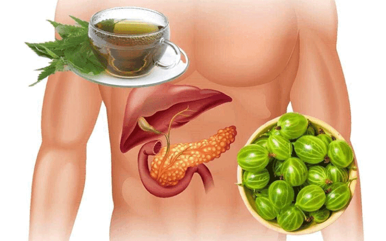 غذاهای تلخ و کبد؛ یک رابطه دوستانه