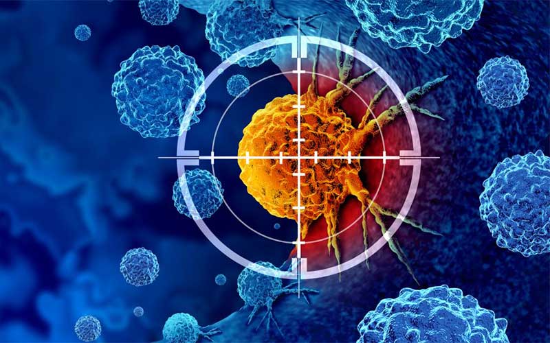 تحولی جدید در شخصی‌سازی درمان سرطان با هوش مصنوعی