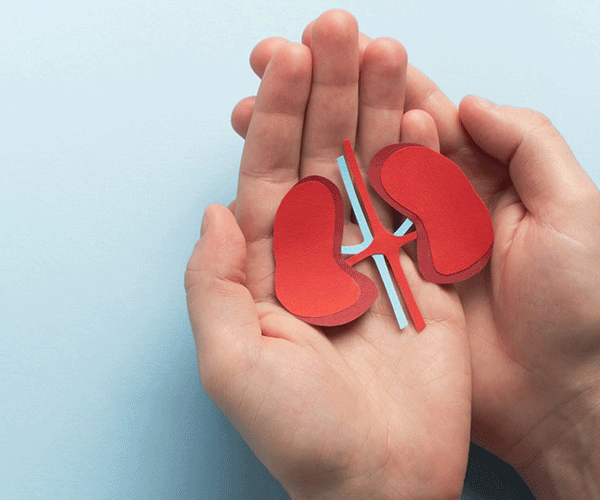 راهنمای جامع بیماری کلیوی