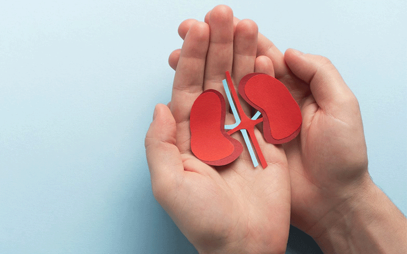 راهنمای جامع بیماری کلیوی