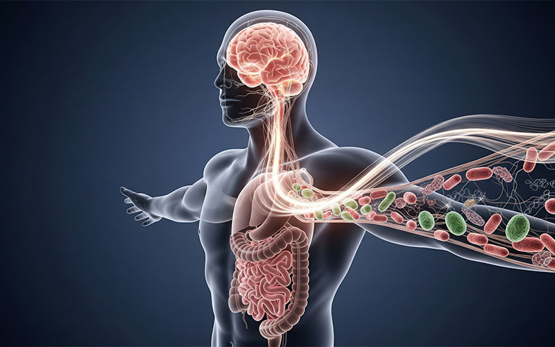 میکروبیوم نا متعادل؛ زمینه ساز اختلالات روانپزشکی؟